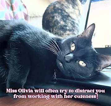 Photo of Olivia