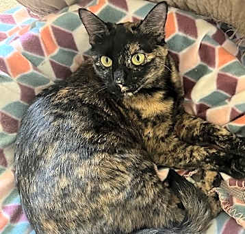 Photo of Ella