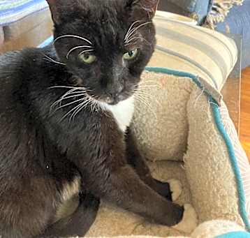 Photo of Reginald