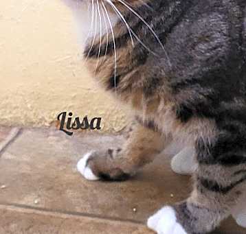 Photo of Lissa