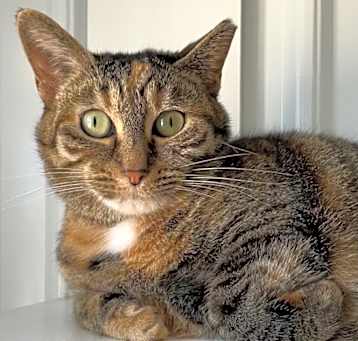 Photo of Narelle
