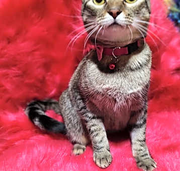Photo of RENN