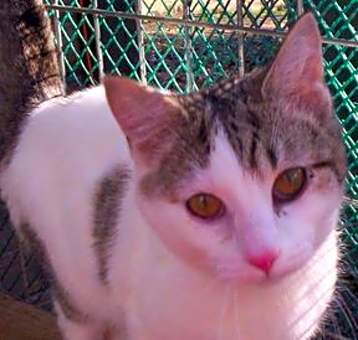 Photo of Emilie (sweet, loving)