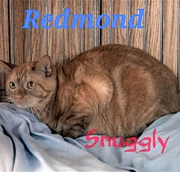 Photo of Redmond