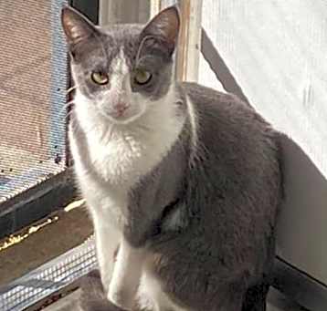 Photo of Honor