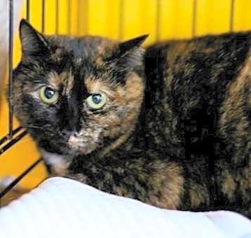 Photo of Lucinda (Sponsored)