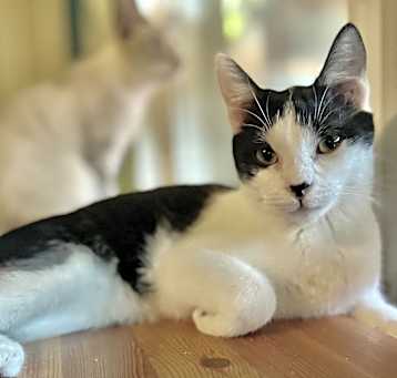 Photo of Greta T
