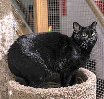 Photo of Inky