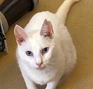 Photo of Fiona
