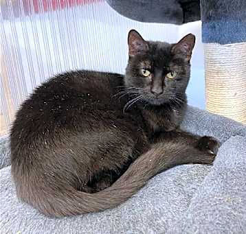 Photo of Lara