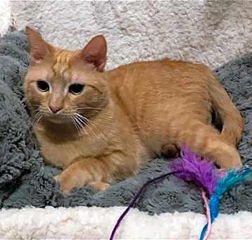 Photo of Spice