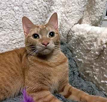 Photo of Sugar