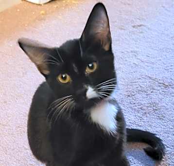 Photo of Sasha