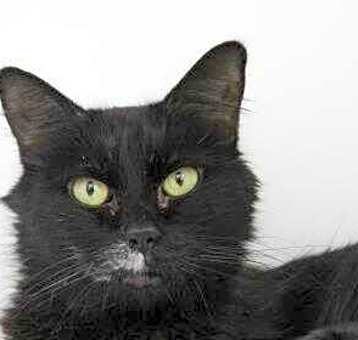Photo of Coco
