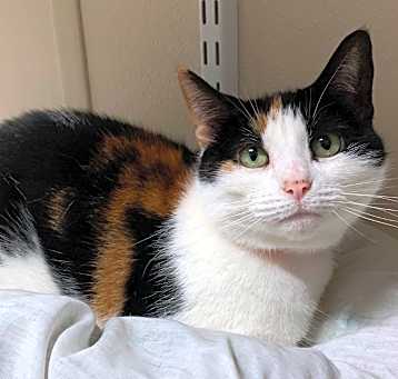 Photo of Kat