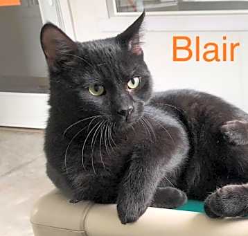 Photo of Blair