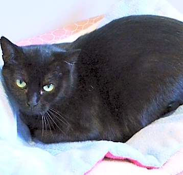 Photo of Essie