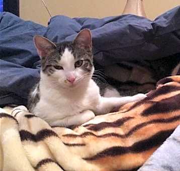 Photo of Samy