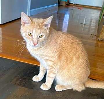 Photo of Reggie