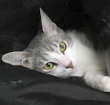 Photo of Quinn