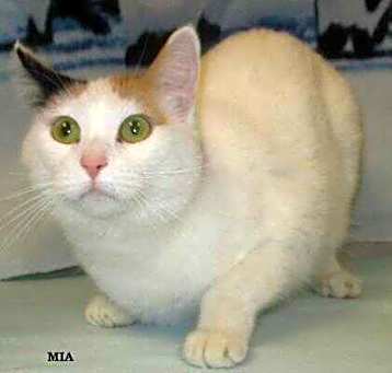 Photo of Mia