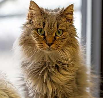Photo of Quincy