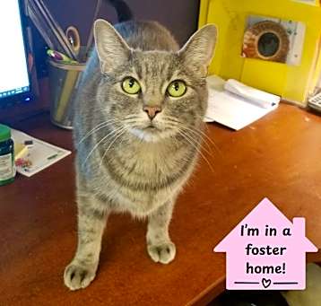 Photo of Spunky