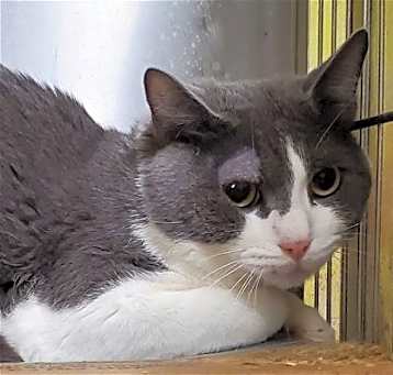Photo of Ted