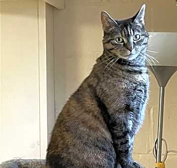 Photo of Jenny