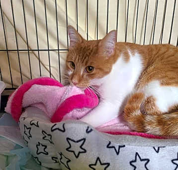 Photo of Pierre