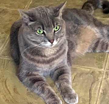 Photo of Aspen