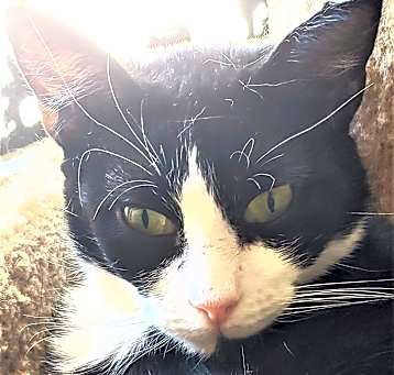 Photo of Tallulah
