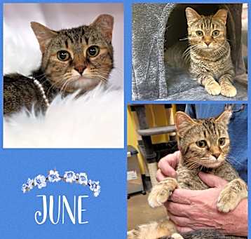Photo of June
