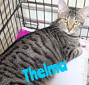 Photo of Thelma