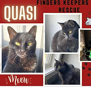 Photo of Quasi