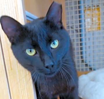 Photo of Nigel 5984