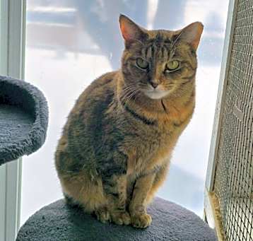 Photo of Zara