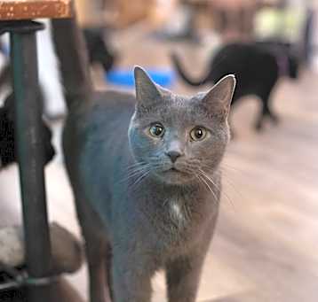 Photo of Jughead