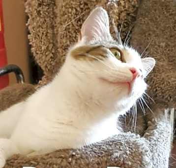 Photo of Betsy Boo