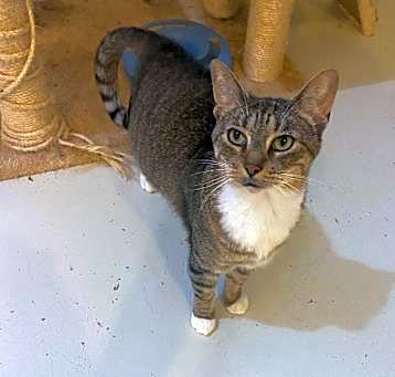 Photo of Mooky
