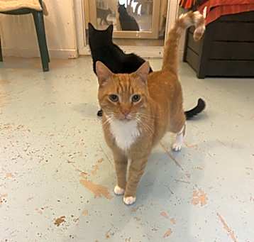 Photo of Red Fred