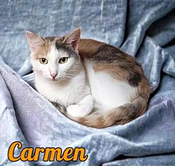 Photo of Carmen