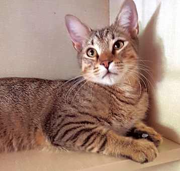 Photo of Leo