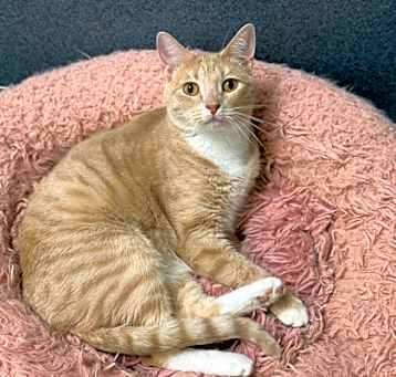 Photo of Bonnie 2