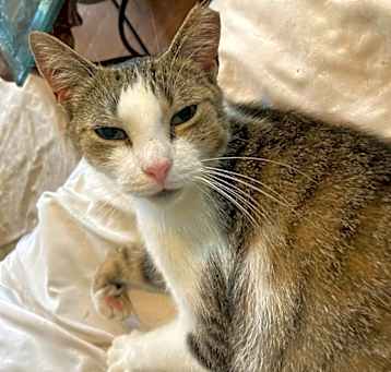 Photo of Elbee