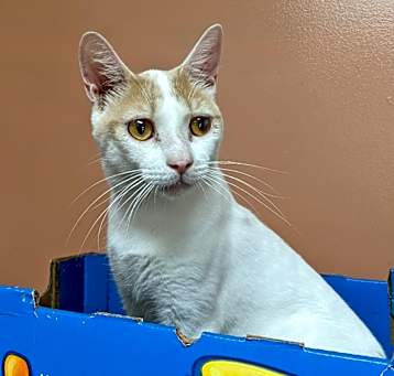 Photo of TANGO