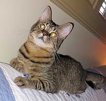 Photo of Chloe