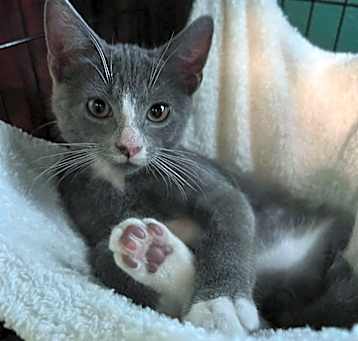 Photo of Hershey