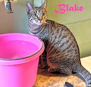 Photo of Blake