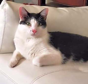 Photo of Benny